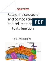 Objective: Relate The Structure and Composition of The Cell Membrane To Its Function