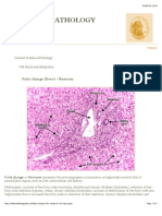 Atlas of Pathology: 2nd Edition