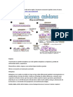 Términos Displasia y Metaplasia.docx