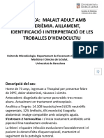 PRÀCTICA Hemocultiu