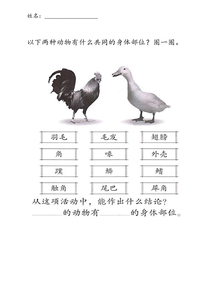 动物的身体各部位 活动本练习 Pdf