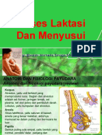 Proses Laktasi Dan Menyusui