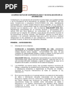 NCN Entre CIVILSYSTEMS y SIGLOCORP Ver2 Revision