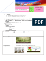 (Day 2) DLP - 4th Quarter - Week 34 (Dr. A. Albert Elem. School)