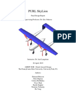 Skylion Final Report
