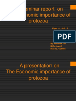 A Seminar Report On The Economic Importance of Protozoa: Paper - I, Unit - II
