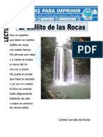 Ficha de El Gallito de Las Rocas para Primaria