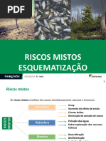 Riscos Mistos