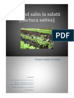 Stresul Salin La Salata Lactuca Sativa PDF