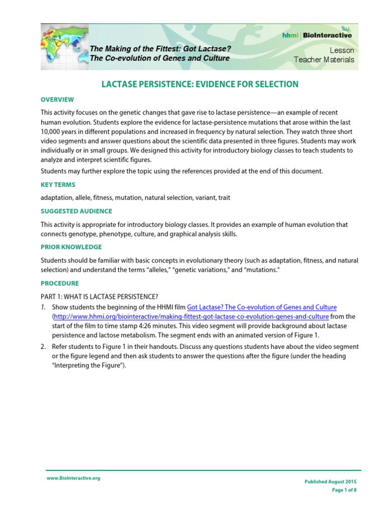 Lactase Persistence Lesson Teacher 2 Zygosity Natural Selection