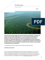 elordenmundial.com-La deforestación del Amazonas