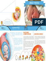 0000000610cnt-diptico-embarazo-prematurez (1)