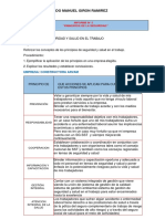 Principios de La Seguridad - Gerardo Manuel Giron Ramirez