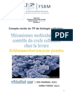 Compte rendu biologie cellulaire pdf.pdf