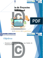 Gesti+ N de Proyectos Profesional PDF