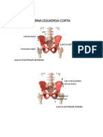 Ajuste Pierna Corta Martillo (Word)