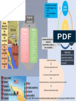 Infograma Rodney Caldas