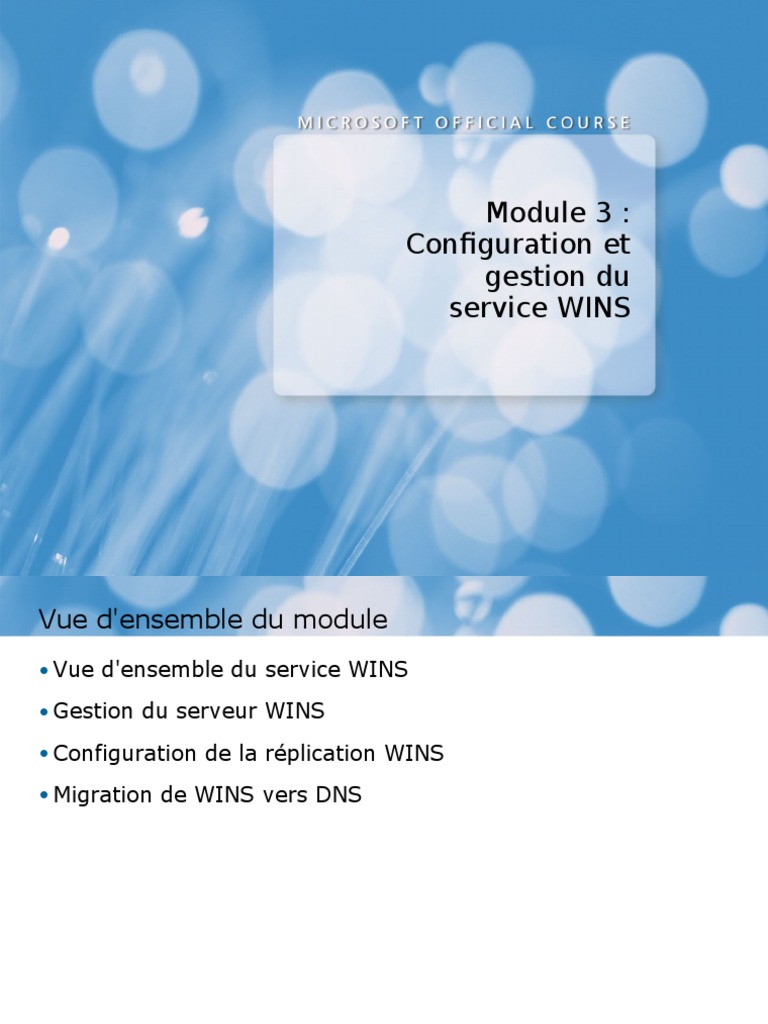Gestion et configuration du service WINS | PDF | Windows Server 2008 ...