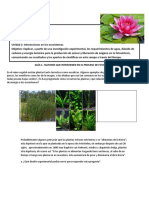 Factores clave fotosíntesis plantas