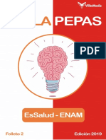 Villapepas Ed. 2019 - Folleto 2 PDF