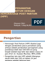 HPP D3