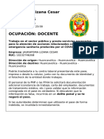 pase_laboral_9q4h305o1_A05 (1)