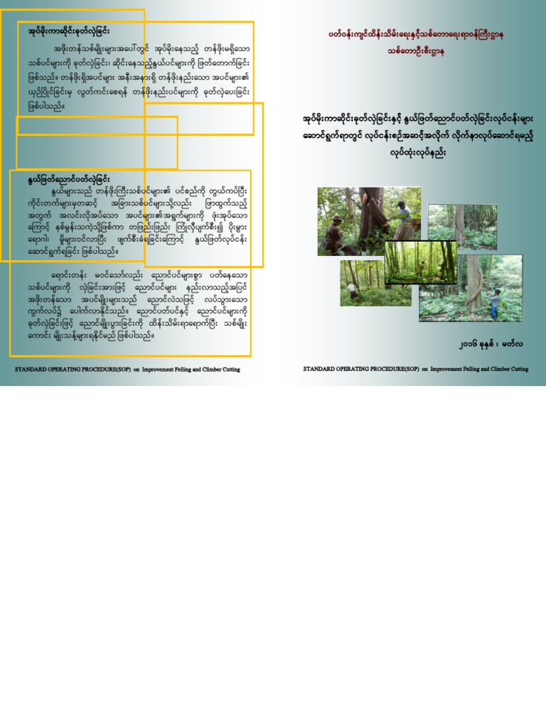 5,8. SOP For Improvement Felling Operation | PDF