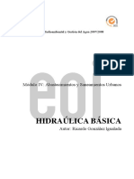 Altura piezometrica Hid General.pdf
