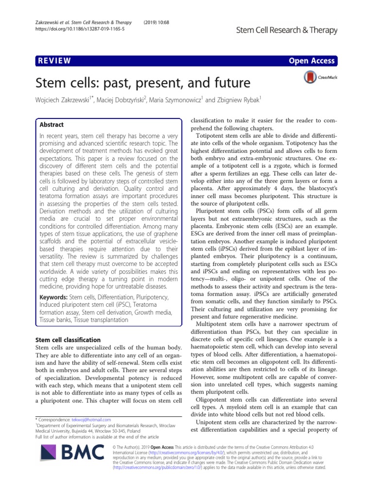 Stem Cell | PDF | Cell Potency | Stem Cell
