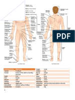 Anatomical terms and their common names