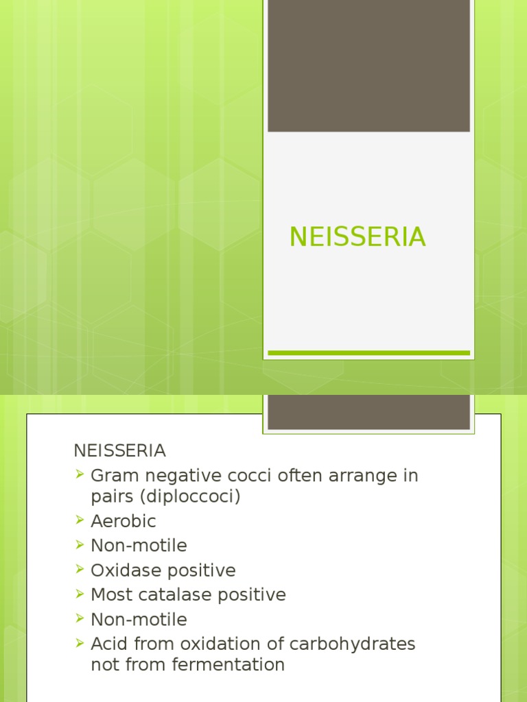 Neisseria Pptx Medical Diseases And Disorders