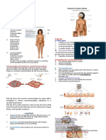 The Endocrine System