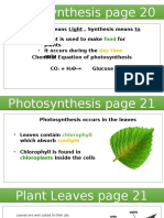 Presentation Photosynthesis to Glucose