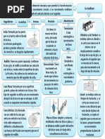 Elementos de Una Transmisión Rígida y Flexible | PDF | Engranaje ...