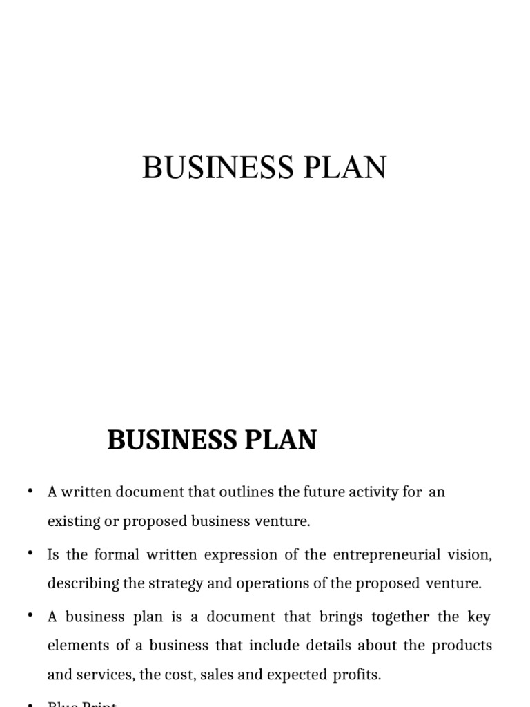 Essential Business Plan Overview | PDF | Business