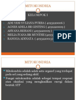 Kelompok 1 Mitokondria