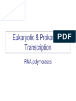 Transcription 09 PDF