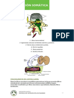 Lesiones Osteopaticas. Disfuncion Somatica