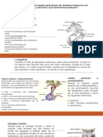 TALLER 2. Unidad PRINCIPIOS Y GENERALIDADES DE MORFOFISIOLOGÍA ANIMAL