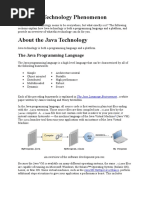 The Java Technology Phenomenon