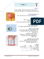 TP 05 PDF