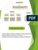 Mapa Conceptual Aceites