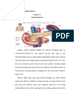 Anatomi Dan Fisiologi Pankreas