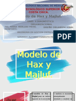 Modelo Hax y Majluf organizaciones
