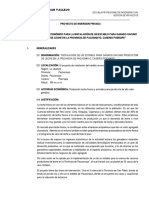 Proyecto Privado PDF