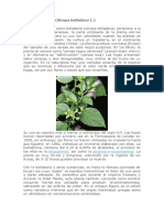 Plantas Medicinales 2