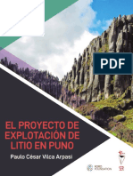 Informe LITIO en PUNO Online