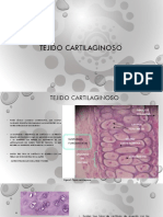 TEJIDO CARTILAGINOSO.pdf