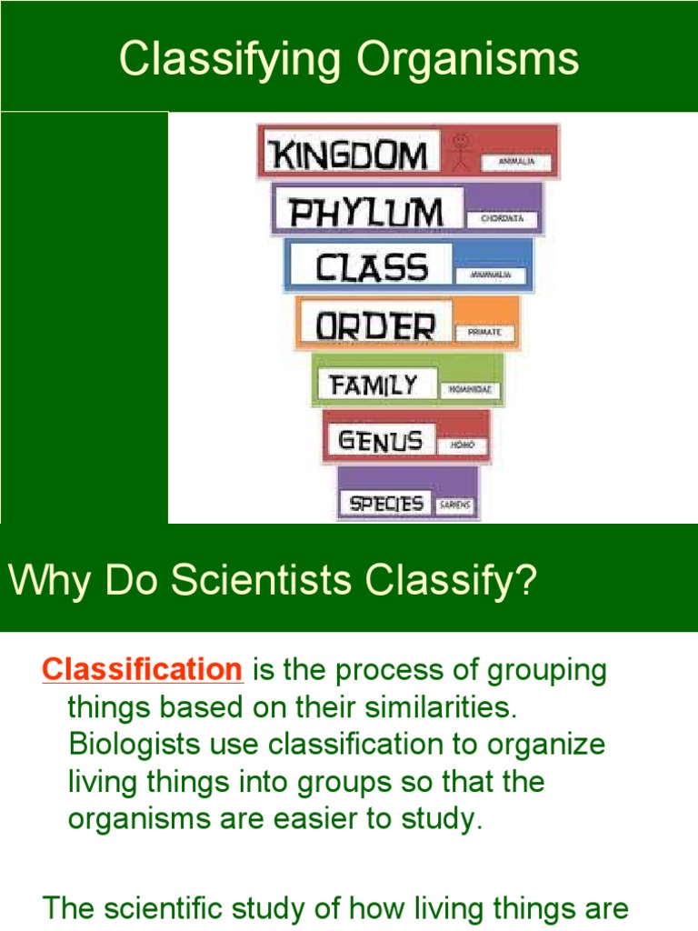 Understanding Organism Classification | PDF | Plants | Fungus
