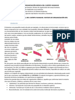 UNIDAD_2._ORGANIZACIÓN_BÁSICA_DEL_CUERPO_HUMANO__1.pdf